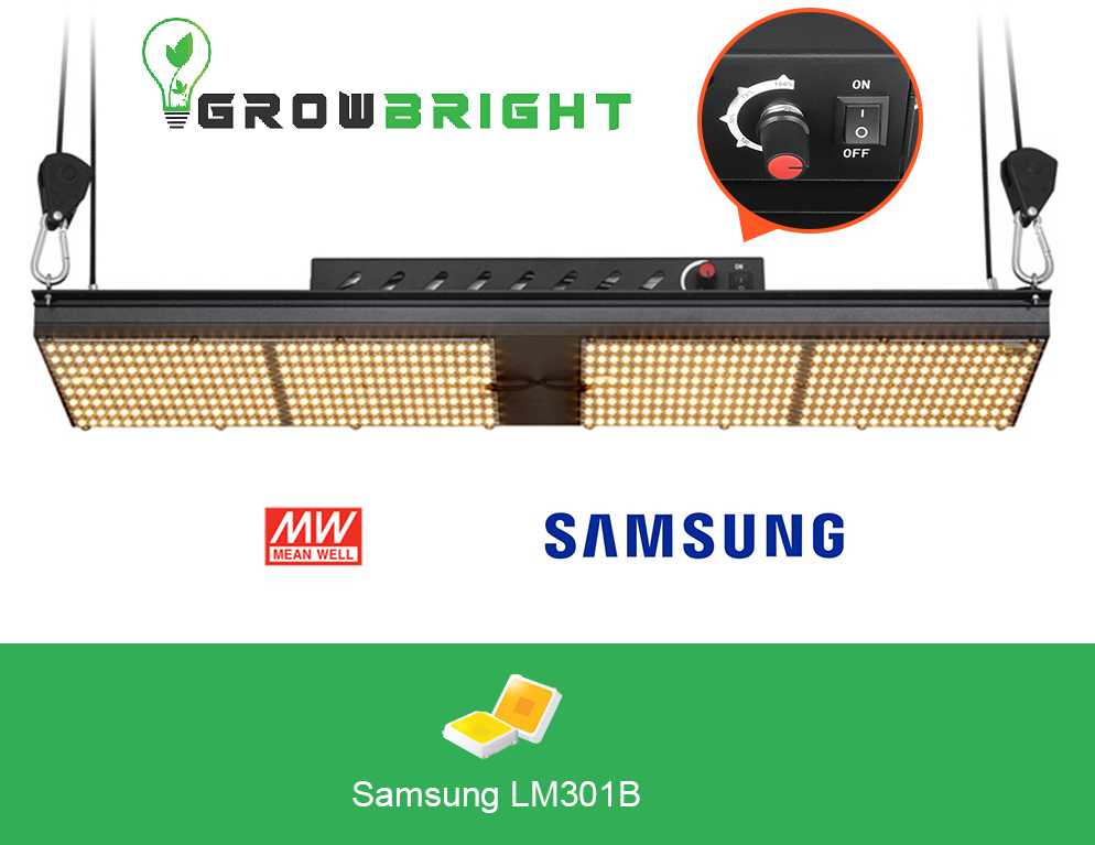 Samsung LM301B 240W LED QUANTUM BOARD.-Growbright